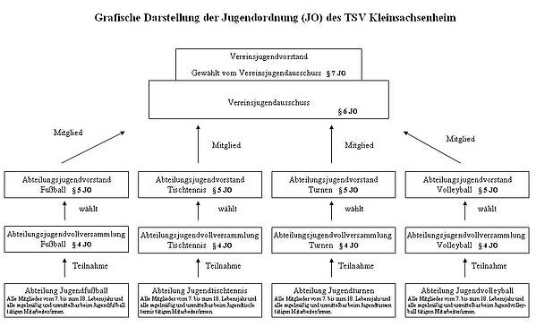 Grafische Darstellung der Jugendordnung (JO) des TSV Kleinsachsenheim